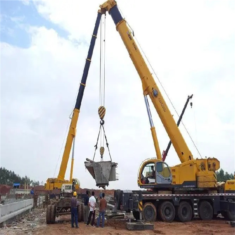 兰陵小型吊机出租电话|厂房设备吊装方案|24小时服务覆盖